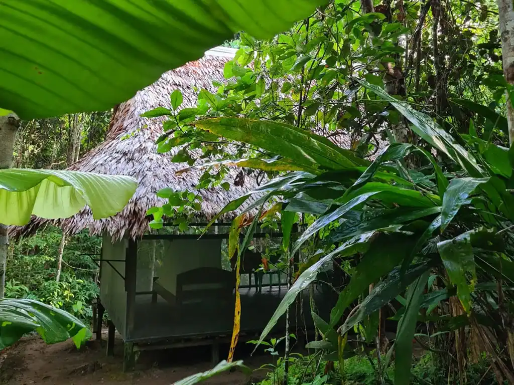Домик в джунглях для ретрита с аяуаской