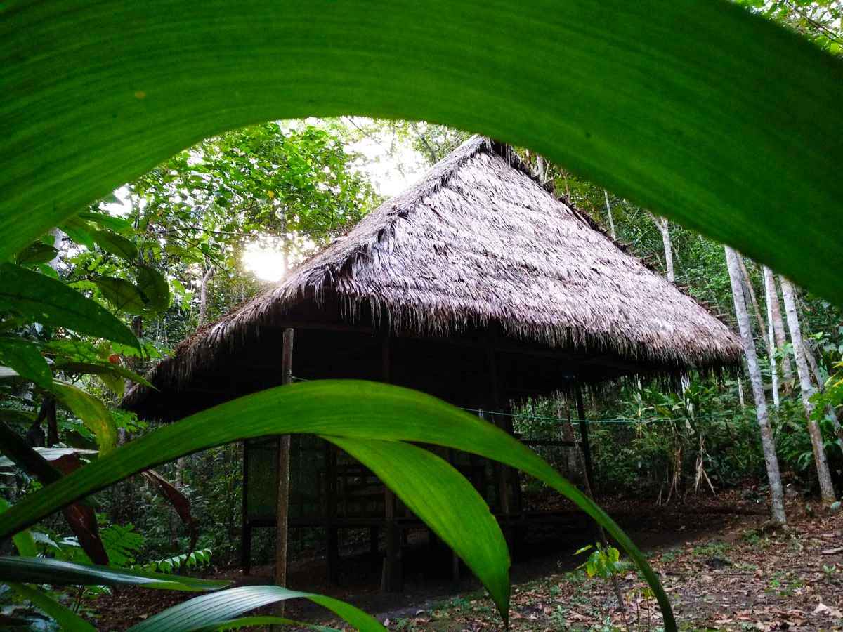 домик в джунглях Перу