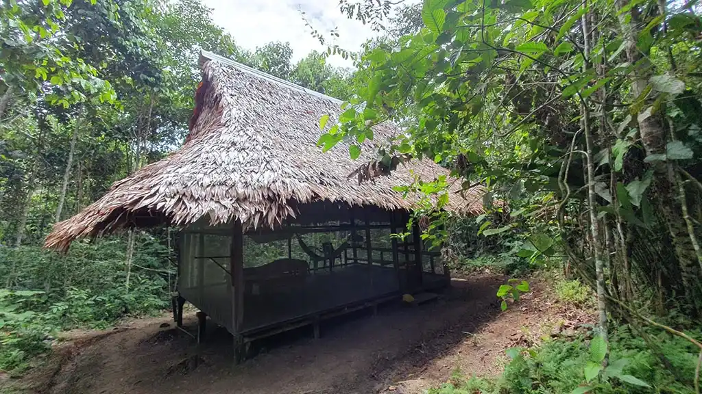 ayahuasca retreat tambo in the jungle of Peru